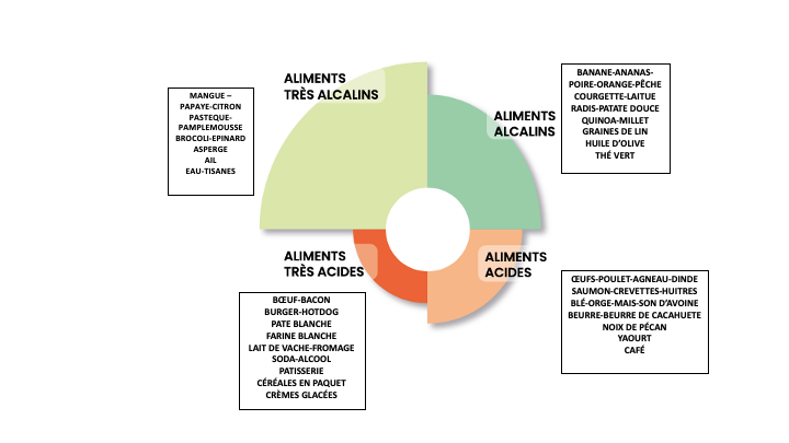 Aliments alcalinisants 